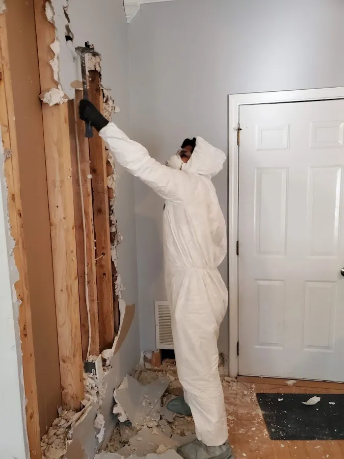 Basement Flood Cleanup in Harris, PA